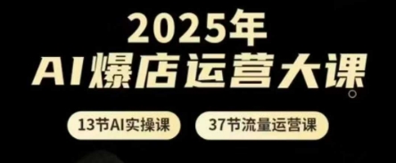 2025年AI爆店运营大课，13节AI实操课+37节流量运营课-极速网创
