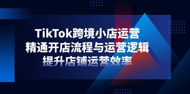 （14369期）TikTok跨境小店运营，精通开店流程与运营逻辑，提升店铺运营效率-极速网创