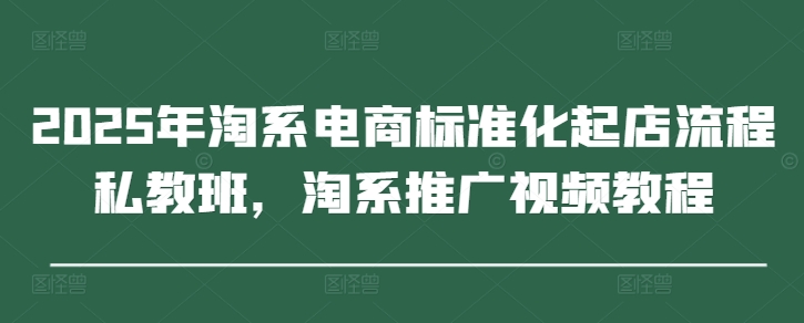 2025年淘系电商标准化起店流程私教班，淘系推广视频教程-极速网创