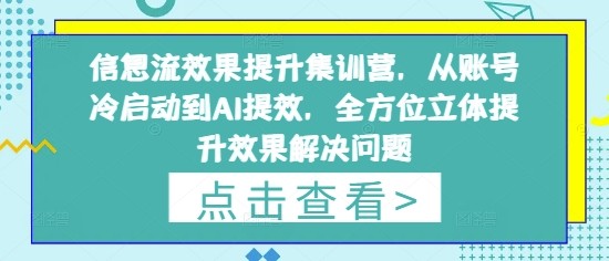 信息流效果提升集训营，从账号冷启动到AI提效，全方位立体提升效果解决问题-极速网创