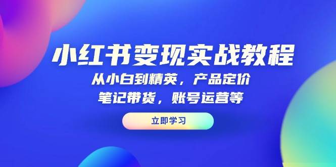 小红书变现实战教程：从小白到精英，产品定价，笔记带货，账号运营等-极速网创