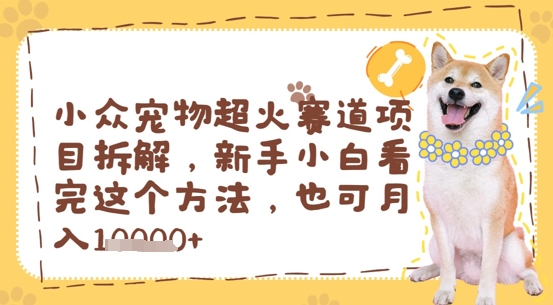 小众宠物超火赛道项目拆解，新手小白看完这个方法，也可月入过w-极速网创