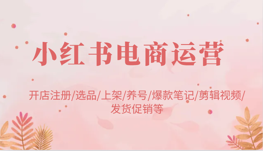 小红书电商运营：开店注册/选品/上架/养号/爆款笔记/剪辑视频/发货促销等-极速网创