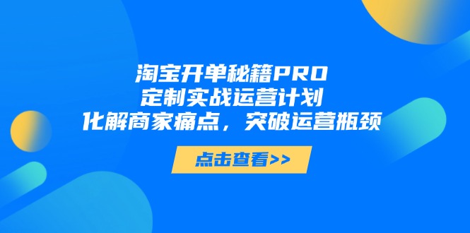 （14642期）淘宝开单秘籍PRO，定制实战运营计划，化解商家痛点，突破运营瓶颈-极速网创