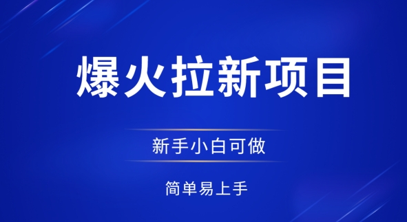 爆火拉新项目，有手就行，小白轻松入门，日入1张拉新整套流程-极速网创
