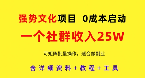 强势文化项目，一个社群收入25个W，0成本启动，可矩阵批量操作，原创详细实操教程-极速网创