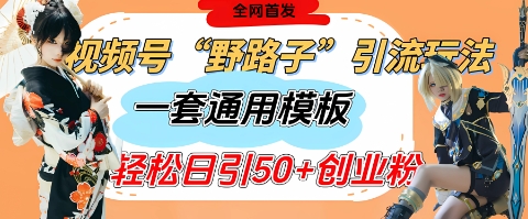 视频号“野路子”玩法，评论区疯狂截流，一套模板单日单号引流50+创业粉-极速网创