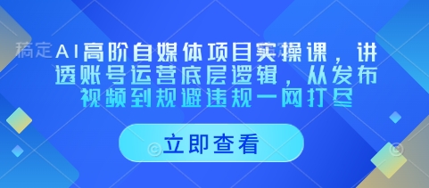 AI高阶自媒体项目实操课，讲透账号运营底层逻辑，从发布视频到规避违规一网打尽-极速网创