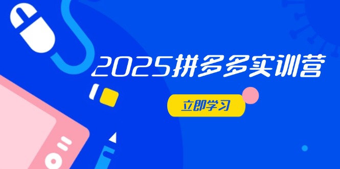 （14531期）2025拼多多实训营：深度剖析运营关键，助力电商人快速提升-极速网创