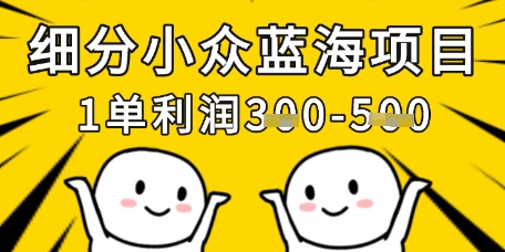 细分小众蓝海项目，一单利润3张，每月收入稳定过1w+-极速网创