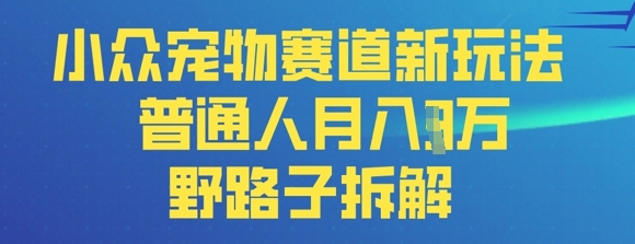 小众宠物赛道新玩法，普通人月入过1W的野路子拆解-极速网创