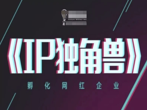 IP独角兽，孵化网红企业，ip教程-极速网创