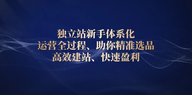 （13914期）独立站新手体系化 运营全过程，助你精准选品、高效建站、快速盈利-极速网创