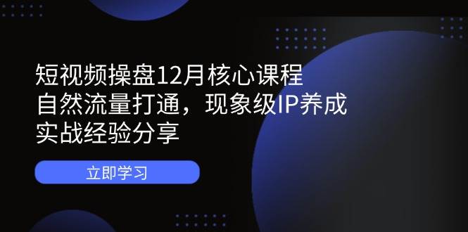 短视频操盘12月核心课程：自然流量打通，现象级IP养成，实战经验分享-极速网创