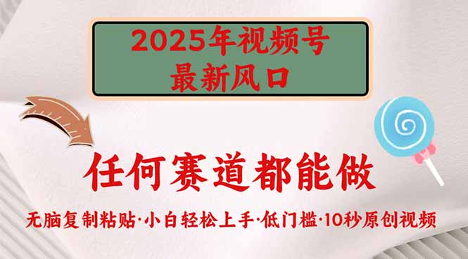（14453期）2025年视频号新风口，低门槛只需要无脑执行-极速网创
