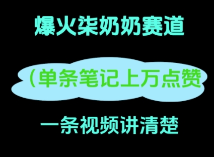 小红书爆火柒奶奶，13 天涨粉 8.7 W，全流程拆解-极速网创