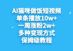 AI猫咪做饭短视频，单条播放10w+，一周涨分2w+，多种变现方式，保姆级教程-极速网创