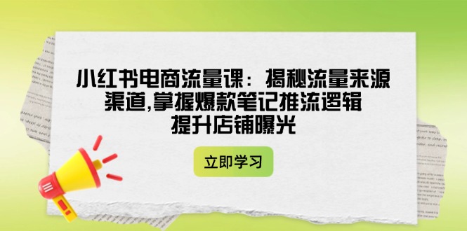 （14318期）小红书电商流量课：揭秘流量来源渠道,掌握爆款笔记推流逻辑,提升店铺曝光-极速网创