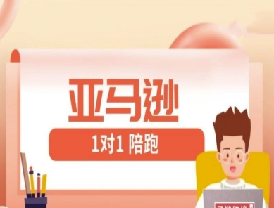 亚马逊1对1陪跑课(FBA/FBM精铺)跨境亚马逊教程-极速网创
