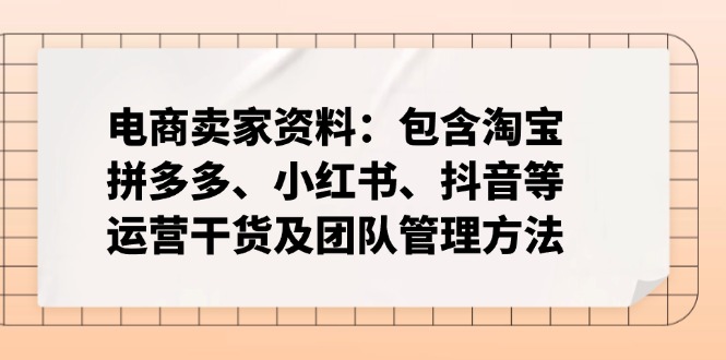 （14354期）电商卖家资料：包含淘宝、拼多多、小红书、抖音等运营干货及团队管理方法-极速网创