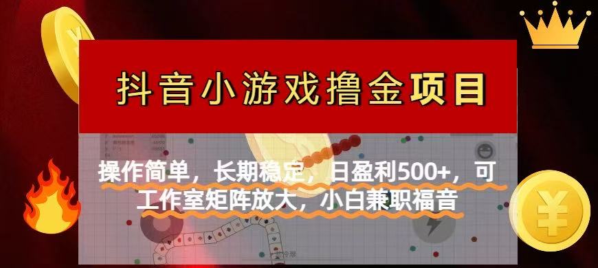 （14290期）【抖音小游戏发行人计划项目】操作简单，长期稳定，日盈利500+，可工作…-极速网创