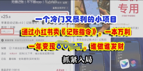一个冷门需求，通过小红书卖《记账指令》，一本万利，谁做谁发，抓紧入局-极速网创