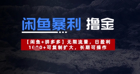 闲鱼暴利撸金无限流量，日盈利几张，可复制扩大，长期可操作-极速网创