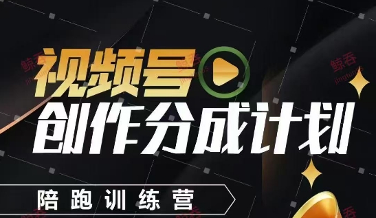 视频号创作分成计划陪跑训练营，手把手教会你如何制作视频，细水长流型项目-极速网创