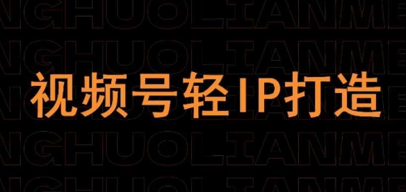 视频号线上课程，视频号轻IP打造-极速网创