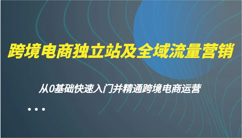 跨境电商独立站及全域流量营销，从0基础快速入门并精通跨境电商运营-极速网创