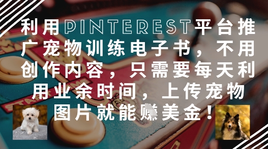 利用Pinterest平台推广宠物训练电子书，不用创作内容，只需要每天利用业余时间，上传宠物图片就能挣美金!-极速网创