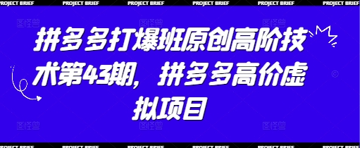 拼多多打爆班原创高阶技术第43期，拼多多高价虚拟项目-极速网创