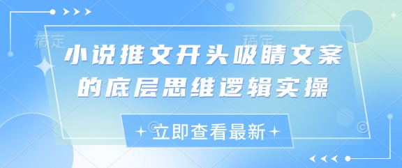 小说推文开头吸睛文案的底层思维逻辑实操-极速网创