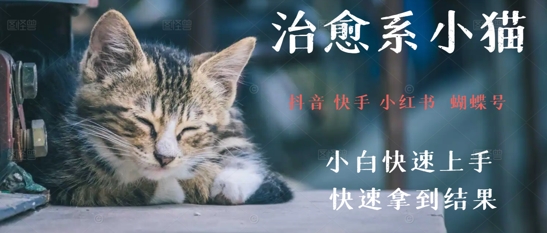 拆解，疯狂火爆！抖音，小红书，视频号小猫治愈的视频，轻松制作+快速拿到结果-极速网创