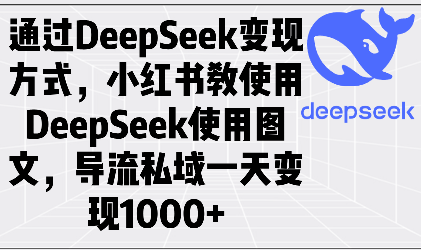 （14179期）通过DeepSeek变现方式，小红书教使用DeepSeek图文，导流私域一天变现1000+-极速网创