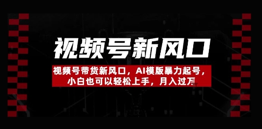 视频号带货新风口，AI模版暴力起号，小白也可以轻松上手，月入过W-极速网创