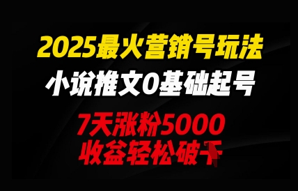 2025最火营销号玩法：小说推文0基础起号，7天涨粉5000，收益轻松破k-极速网创