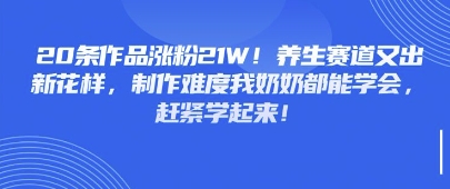 20条作品涨粉21W！养生赛道又出新花样，制作难度我奶奶都能学会，赶紧学起来-极速网创