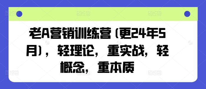 老A营销训练营(更25年4月)，轻理论，重实战，轻概念，重本质-极速网创