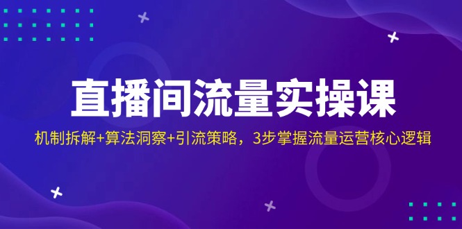 （14122期）直播间流量实操课：机制拆解+算法洞察+引流策略，3步掌握流量运营核心逻辑-极速网创