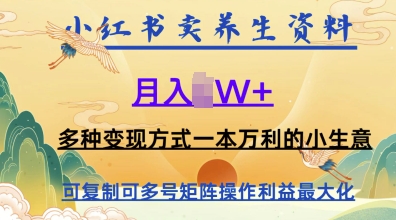在小红书上卖养生资料，月入1w+，多种变现方式一本万利的小生意-极速网创