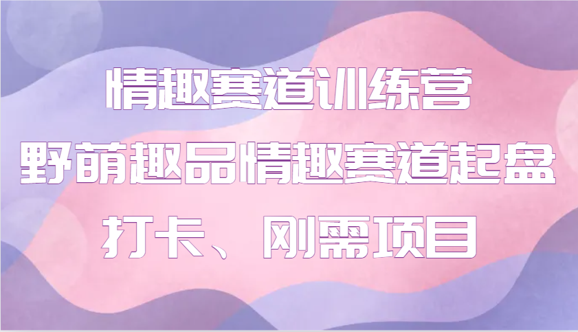 情趣赛道训练营 野萌趣品情趣赛道起盘打卡、刚需项目-极速网创