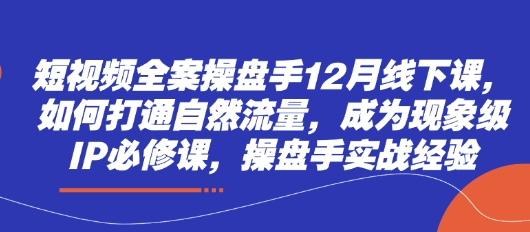 短视频全案操盘手12月线下课，如何打通自然流量，成为现象级IP必修课，操盘手实战经验-极速网创