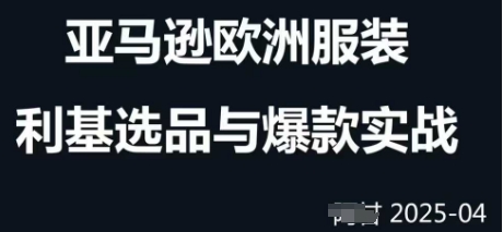 跨境电商选品案例24-25年，聚焦跨境电商选品策略与运营优化，助力卖家挖掘蓝海市场-极速网创