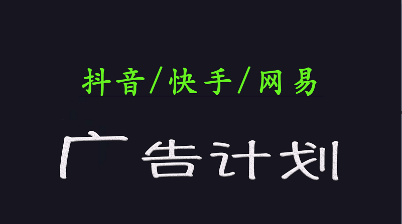 2025短视频平台运营与变现广告计划日入1000+，小白轻松上手-极速网创