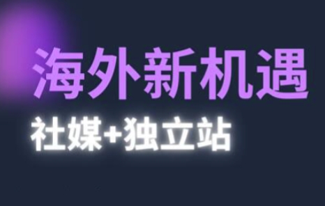 2025出海新机遇(社媒+独立站)，海外新机遇，实现独立站的高效运营与出海-极速网创