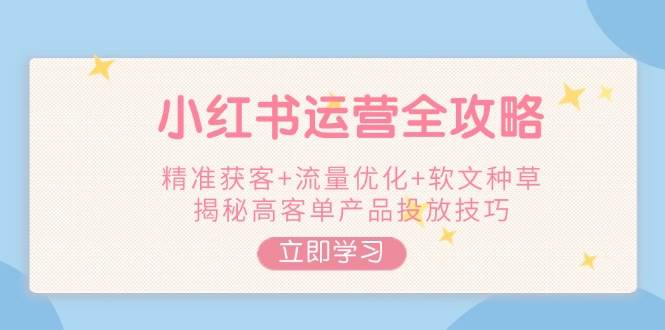 小红书运营全攻略，精准获客+流量优化+软文种草，揭秘高客单产品投放技巧-极速网创