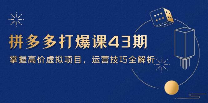 拼多多打爆课第 43 期，掌握高价虚拟项目，运营技巧全解析（15节）-极速网创