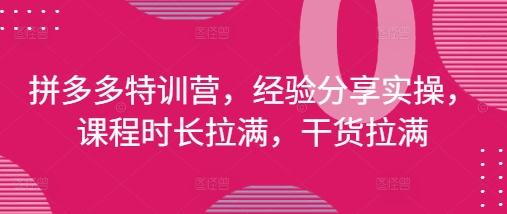 拼多多特训营，经验分享实操，课程时长拉满，干货拉满(更新25年4月)-极速网创