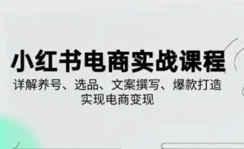 小红书从0-1实操课(2023-2025)，详解养号、选品、文案撰写、爆款打造实现电商变现-极速网创